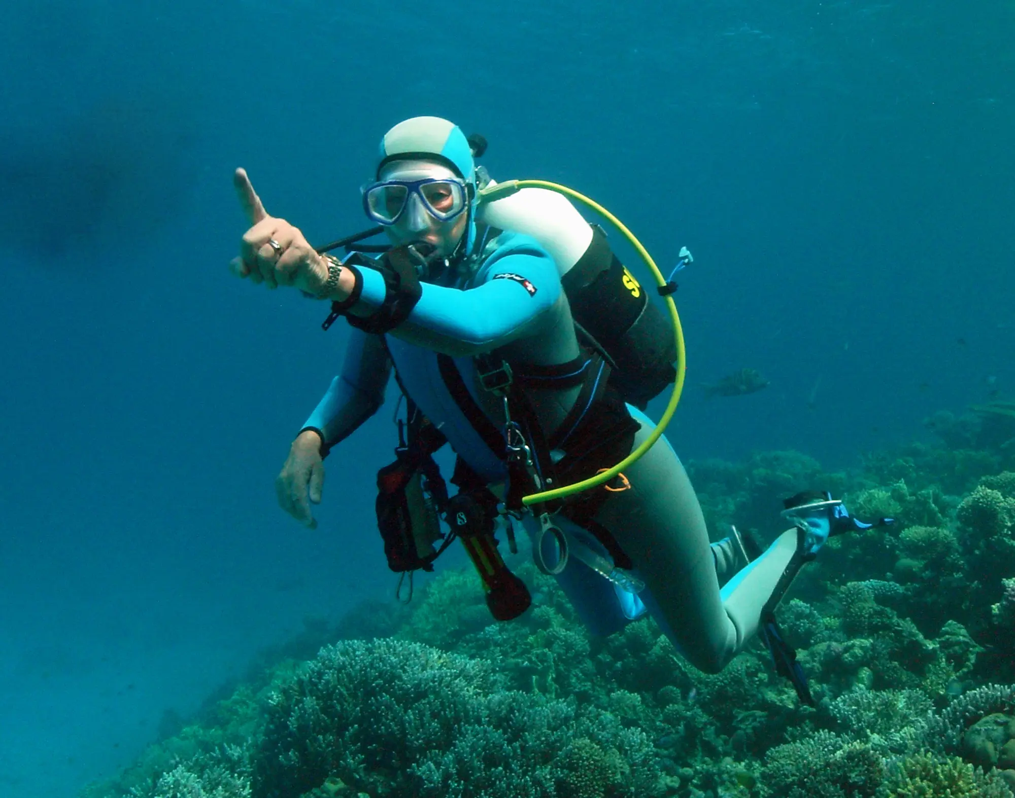 Assistance during the dives